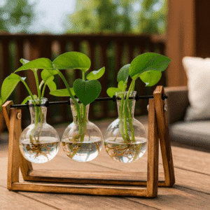 Plant Terrarium with Wooden Stand
