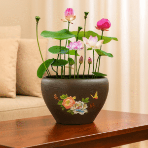 Indoor Bonsai: Pink, Red & Green Lotus Seeds